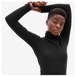 Everlane Italian Merino Wool Turtleneck black